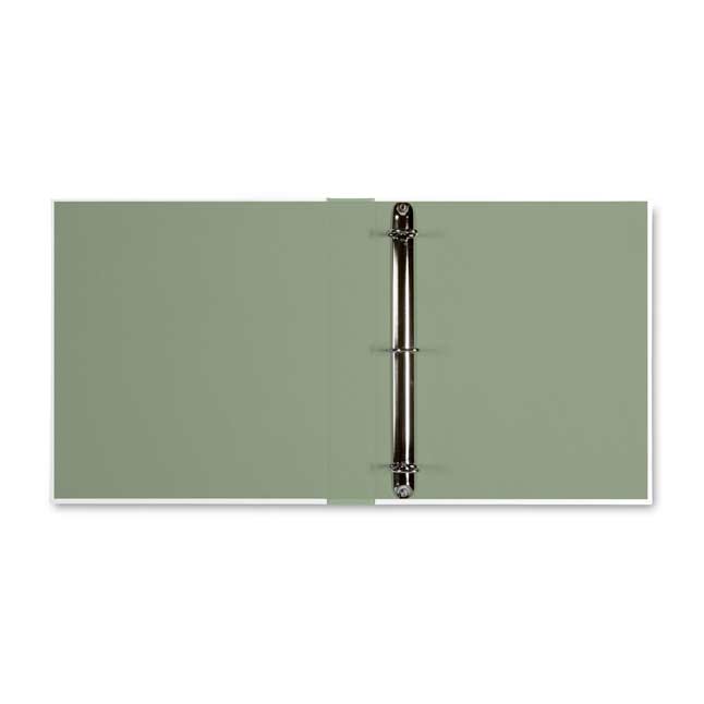 Pokémon TCG Binder PokémonAmie Substitute 1" DRing binder