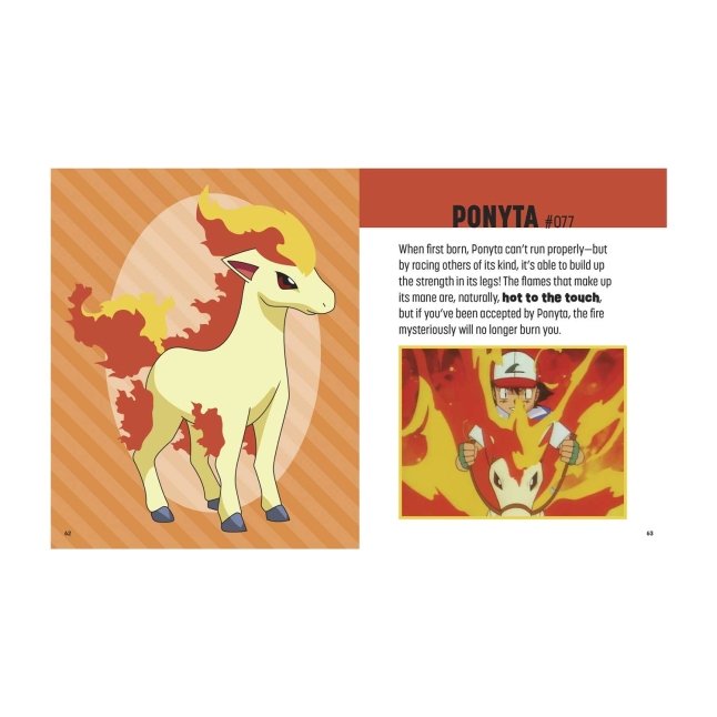 Pokémon: Trainer's Mini Exploration Guide to Kanto  Pokémon Center 