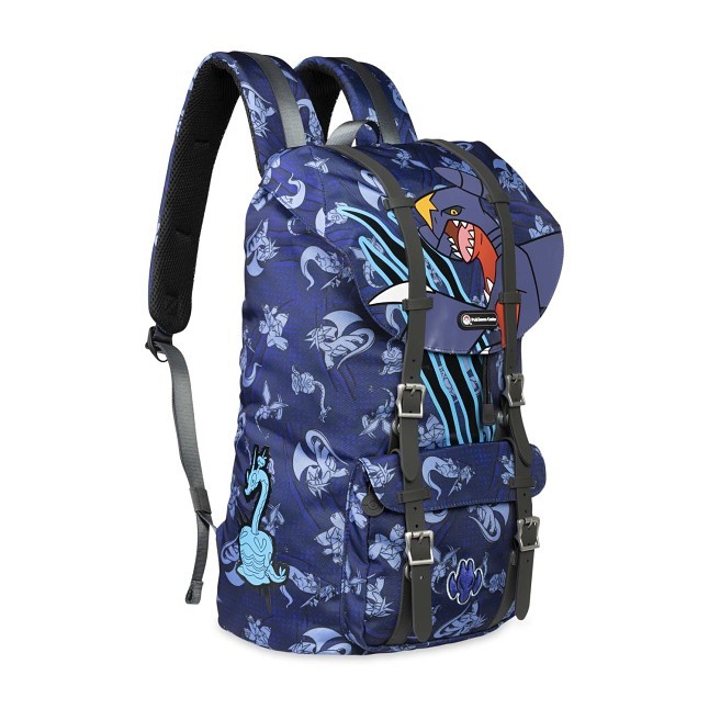 Dragon Type Pokémon Fundamentals Fold-Over Backpack | Pokémon