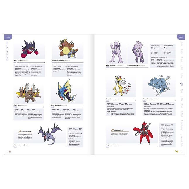 Pokémon Deluxe Character Guide Limited Edition Box Set | Pokémon