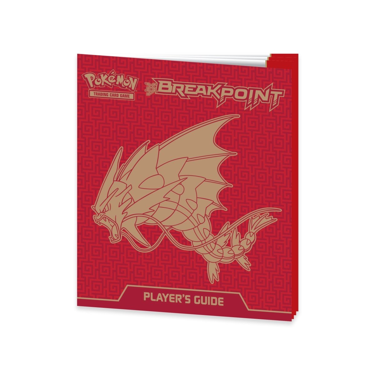 Pokmon TCG: XY-BREAKpoint Elite Trainer Box | Pokmon Center Official Site