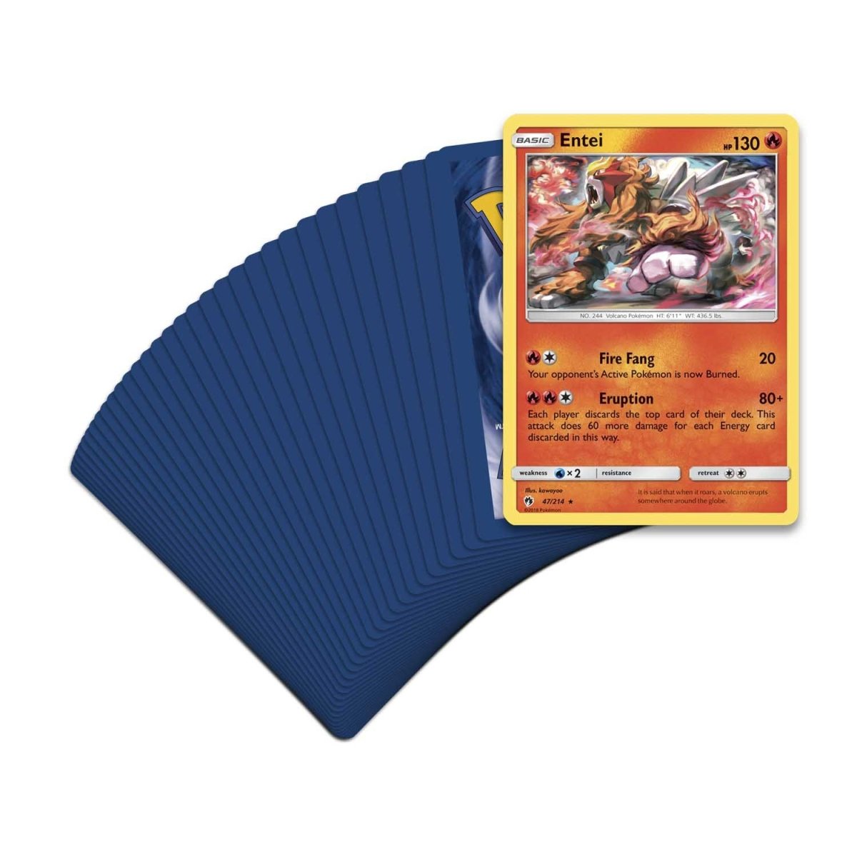pokemon cards fire deck Amazon.com: Fire Type TCG Assortment Bundle