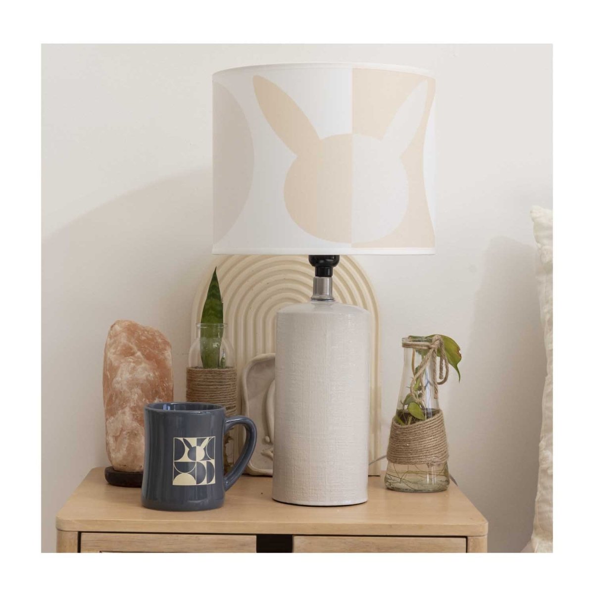 Pokemon Home Accents Lampshade
