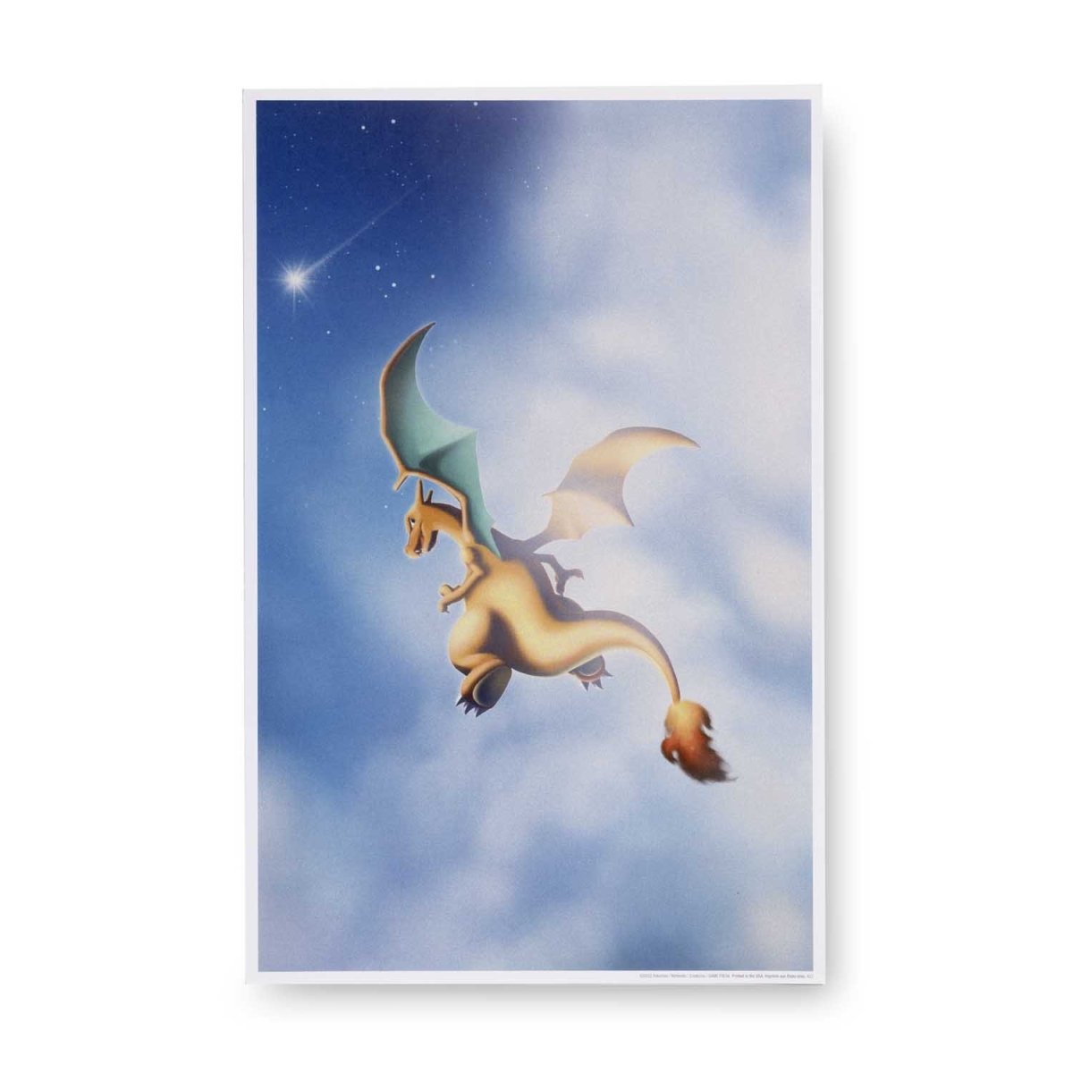 Charizard Flight Poster  Pokémon Center Official Site