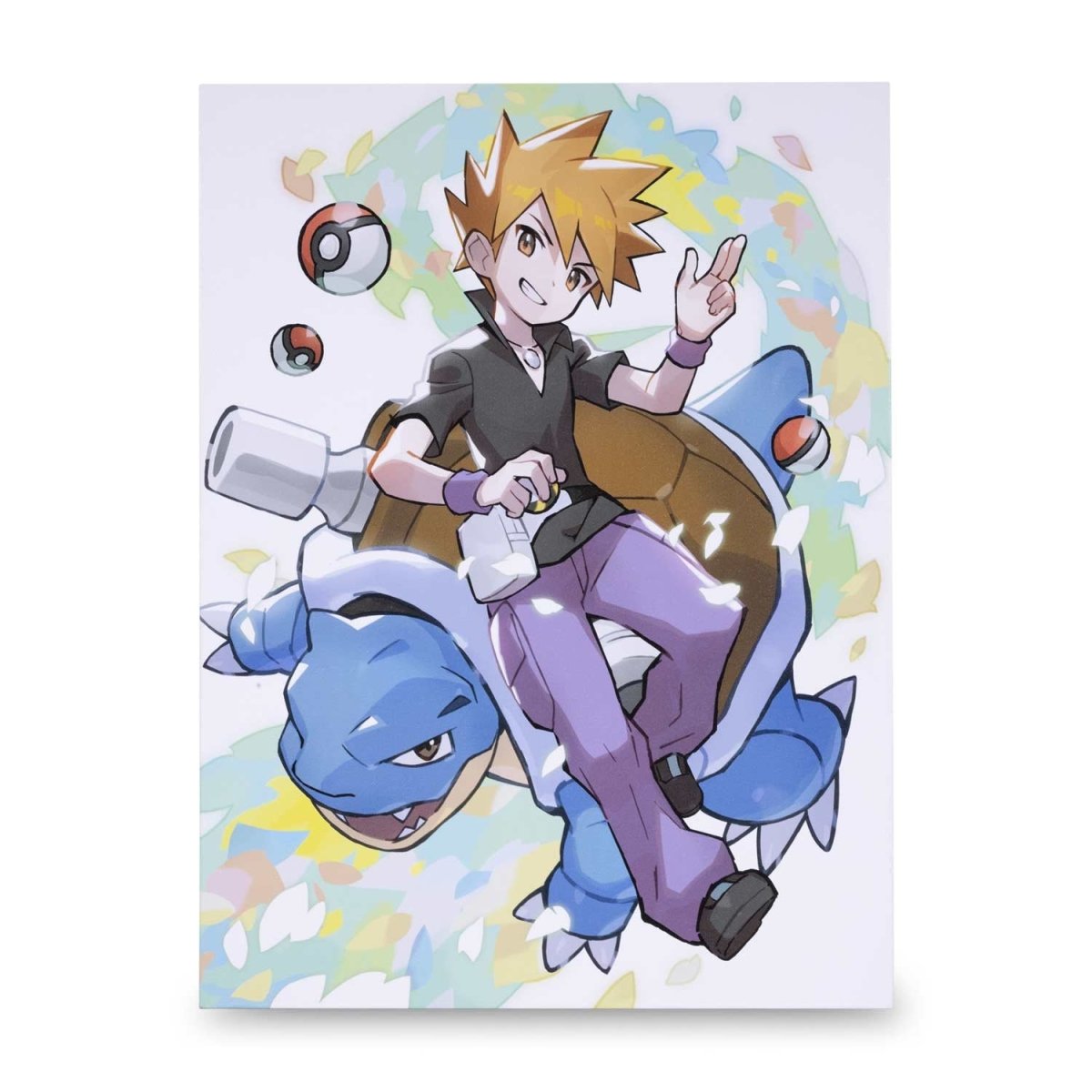 Pokémon Trainers: Dawn Canvas Wall Art