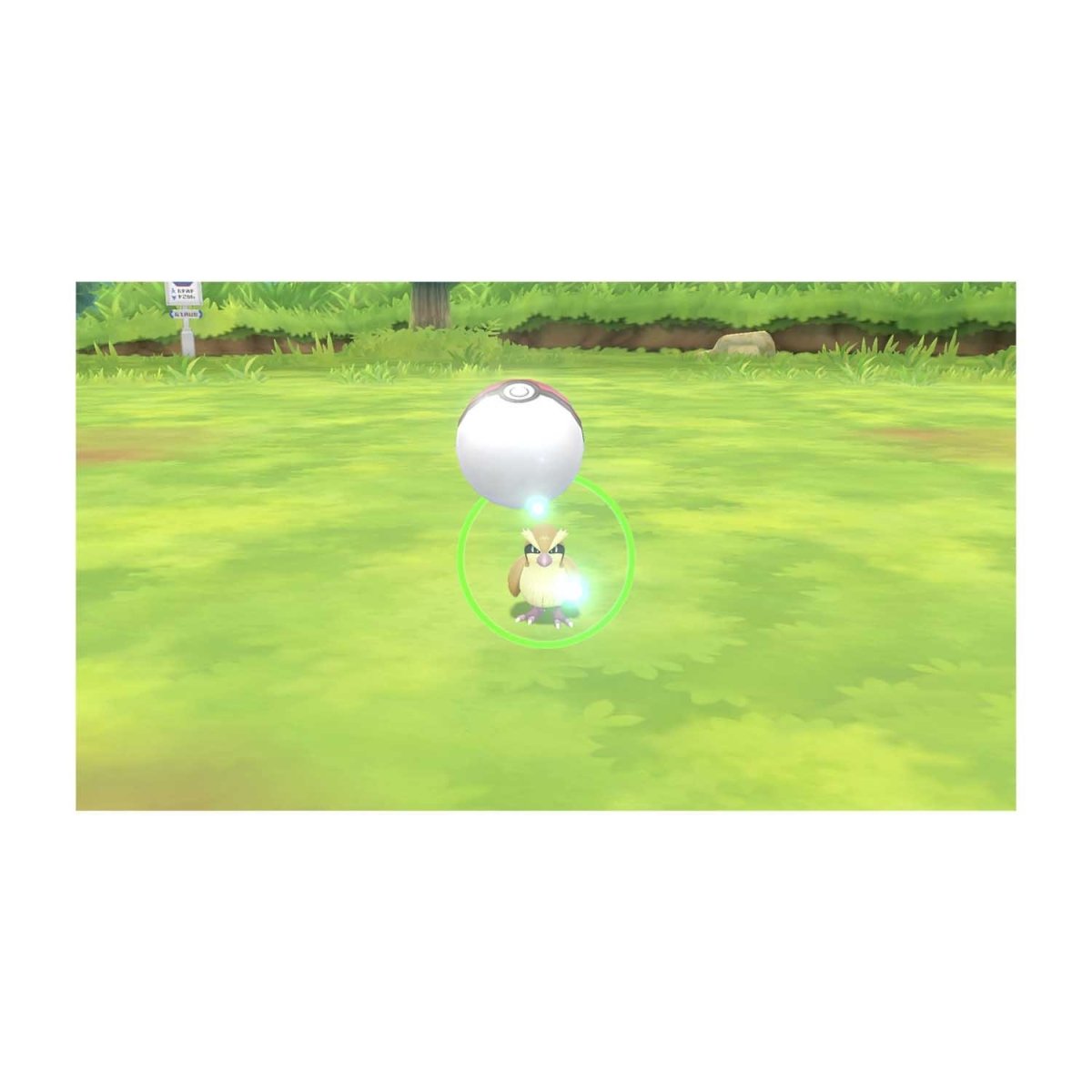 Pokémon: Let's Go, Eevee! | Pokémon Center UK Official Site