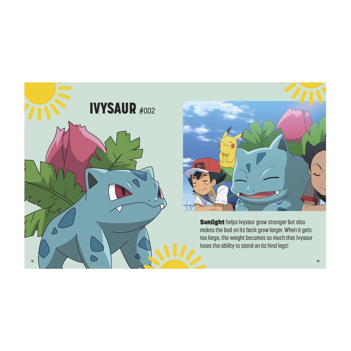 Pokémon: Trainer's Mini Exploration Guide to Kanto, Book by Insight  Editions, Austin, Official Publisher Page