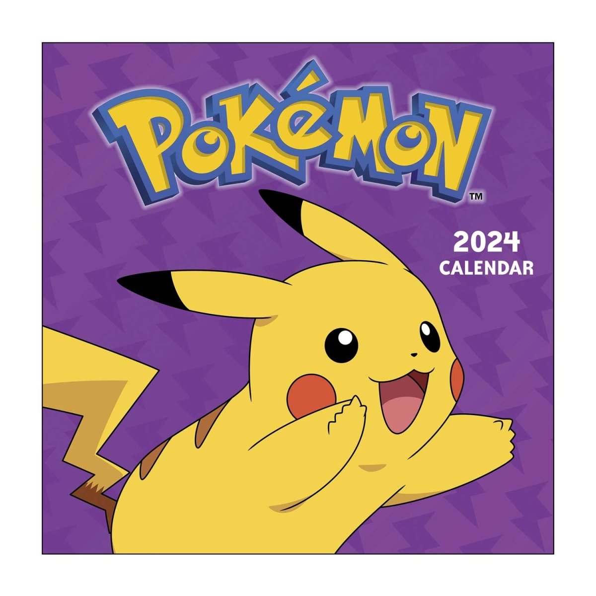 Pokémon 2024 Wall Calendar