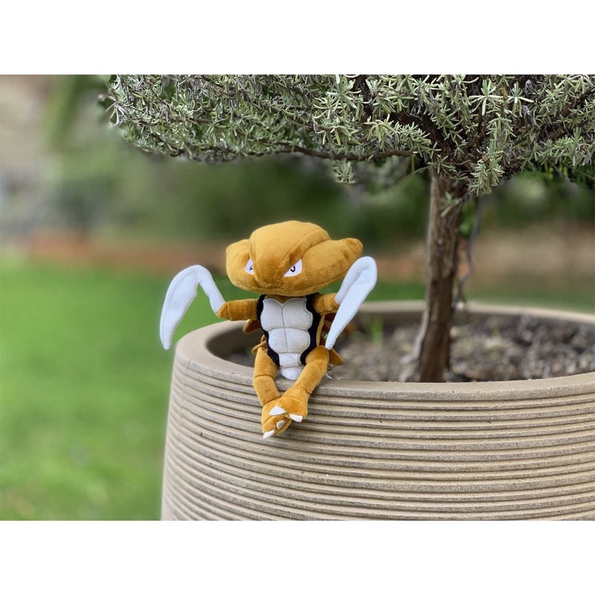 Kabutops Sitting Cuties Plush - 8 In. | Pokémon Center Canada