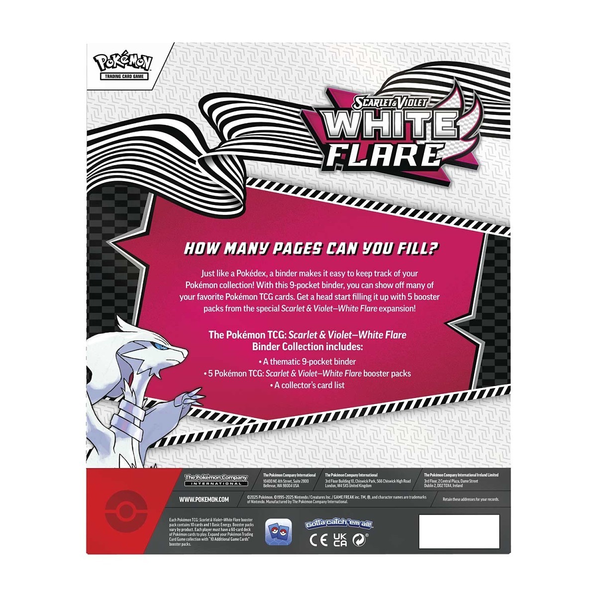 Pokmon TCG: Scarlet & Violet-White Flare Binder Collection | Pokmon  Center Official Site