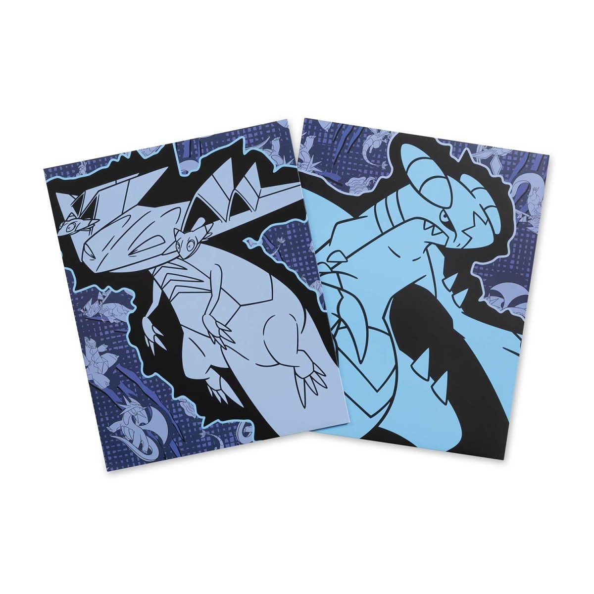 Dragon Type Pokémon Fundamentals Bundle | Pokémon Center Official Site