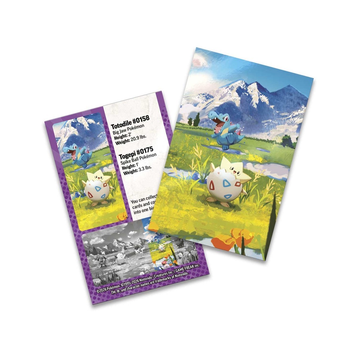 Pokémon TCG: Mega Evolution-Ascended Heroes Mini Tin (Togepi