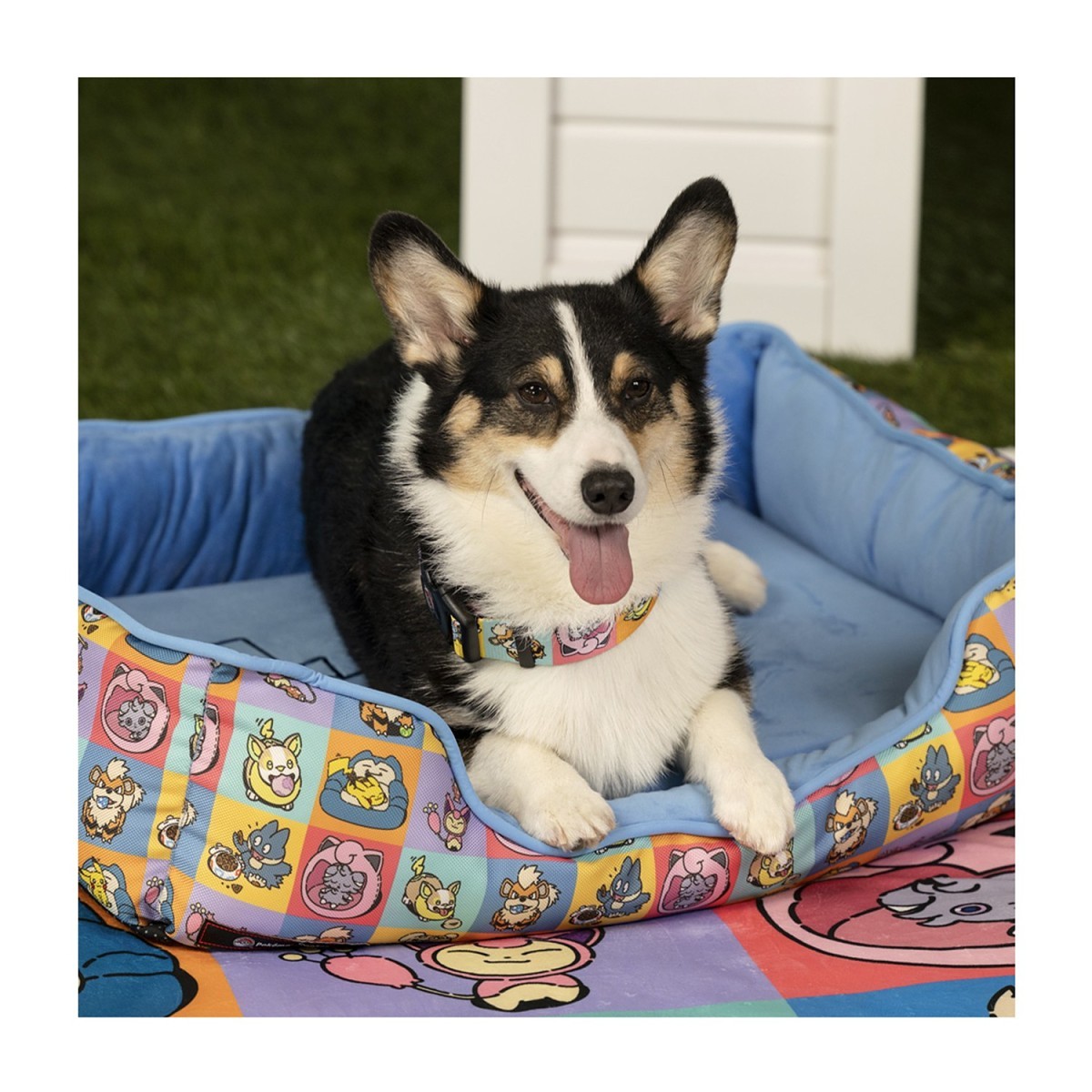 Pokémon Playful Partners Large Pet Bed | Pokémon Center Official Site
