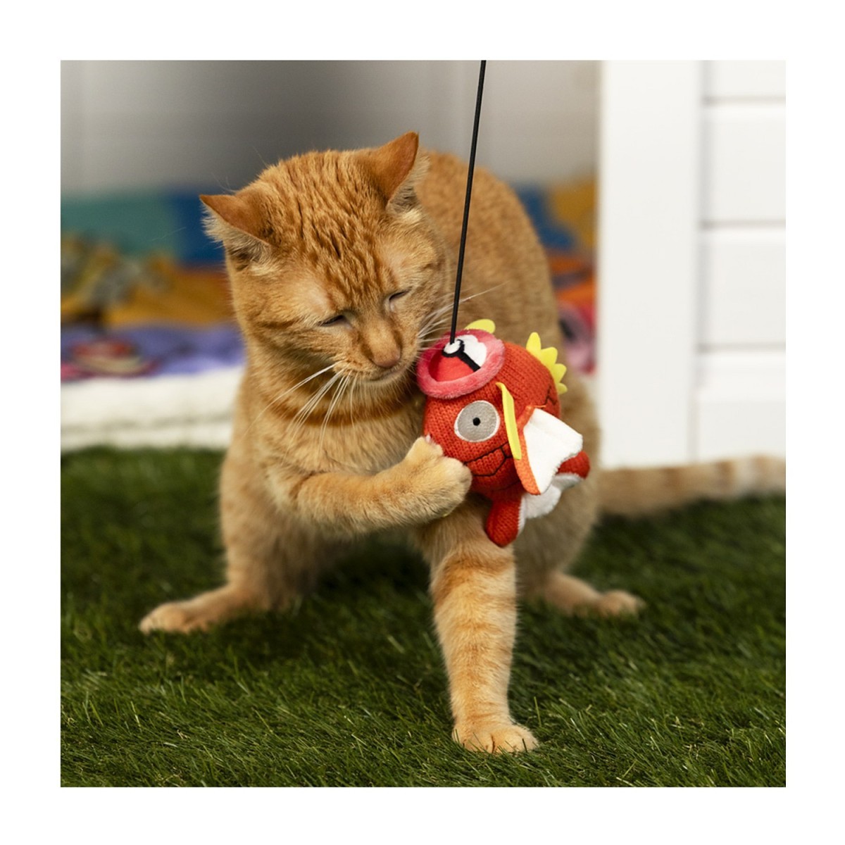 cat fishing pole cat Kid Casters Caster Toy | Tangle Free & Easy to Store. Includes Two Interchangeable Teaser Toys To encourage the cats to do more exercise CAT SMASH 7'2 MH 1pc