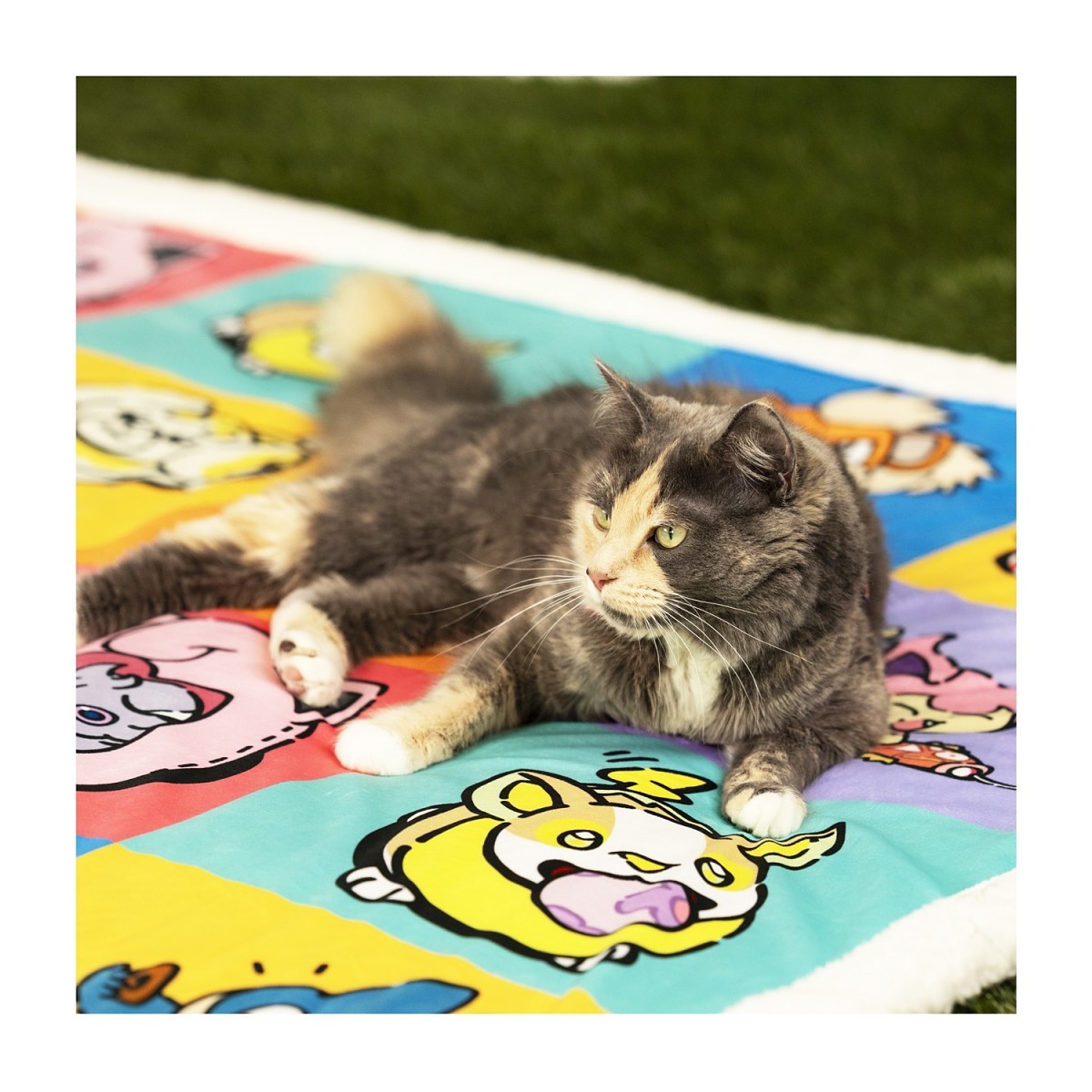 Pokémon Playful Partners Pet Blanket | Pokémon Center Germany