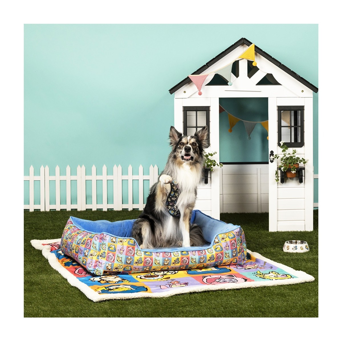 Pokémon Playful Partners Pet Blanket | Pokémon Center Official Site