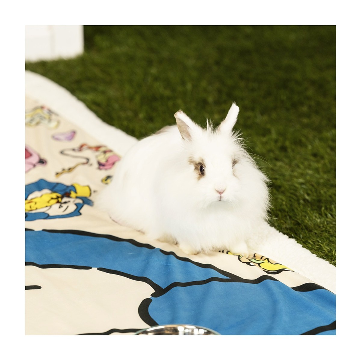 Pikachu Pokémon Playful Partners Pet Blanket | Pokémon Center