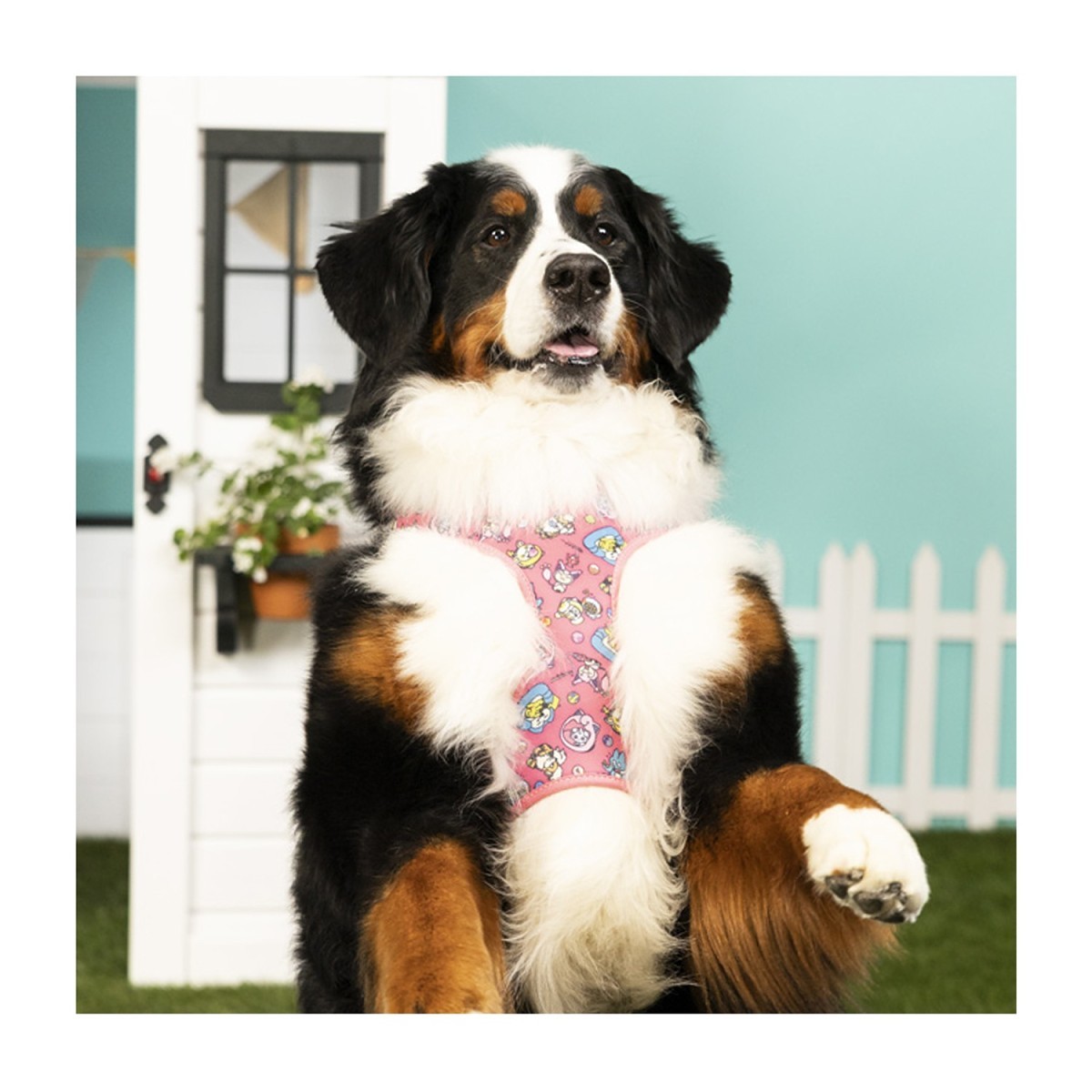 Pokémon Playful Partners Pink Dog Harness | Pokémon Center Canada
