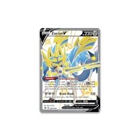 Pokemon Crown Zenith Premium Figure Collection Box - Set of 2 (Shiny  Zamazenta / Shiny Zacian)