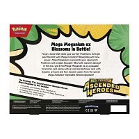 Pokémon TCG: Mega Evolution-Ascended Heroes Mega Meganium ex Box