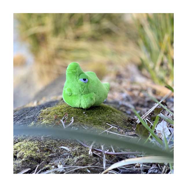 pokemon plush metapod