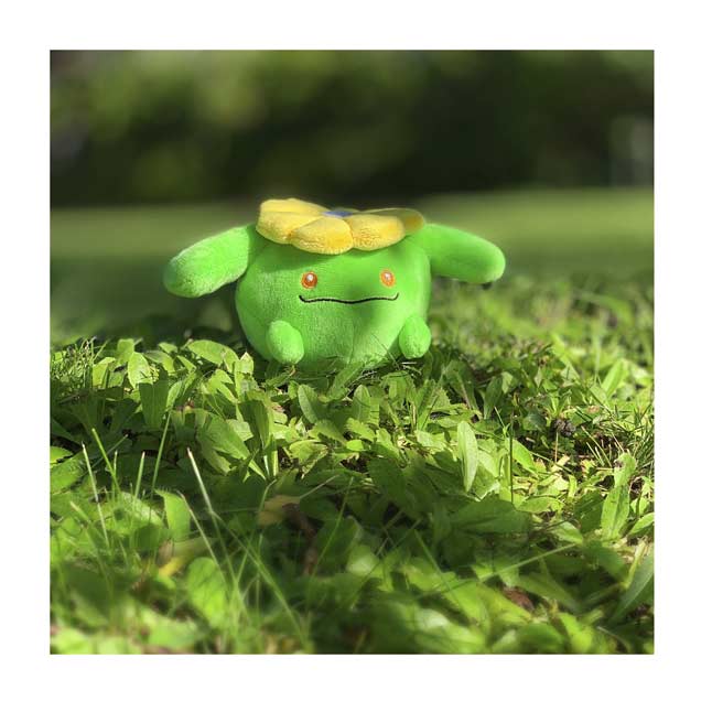 caterpie sitting cuties