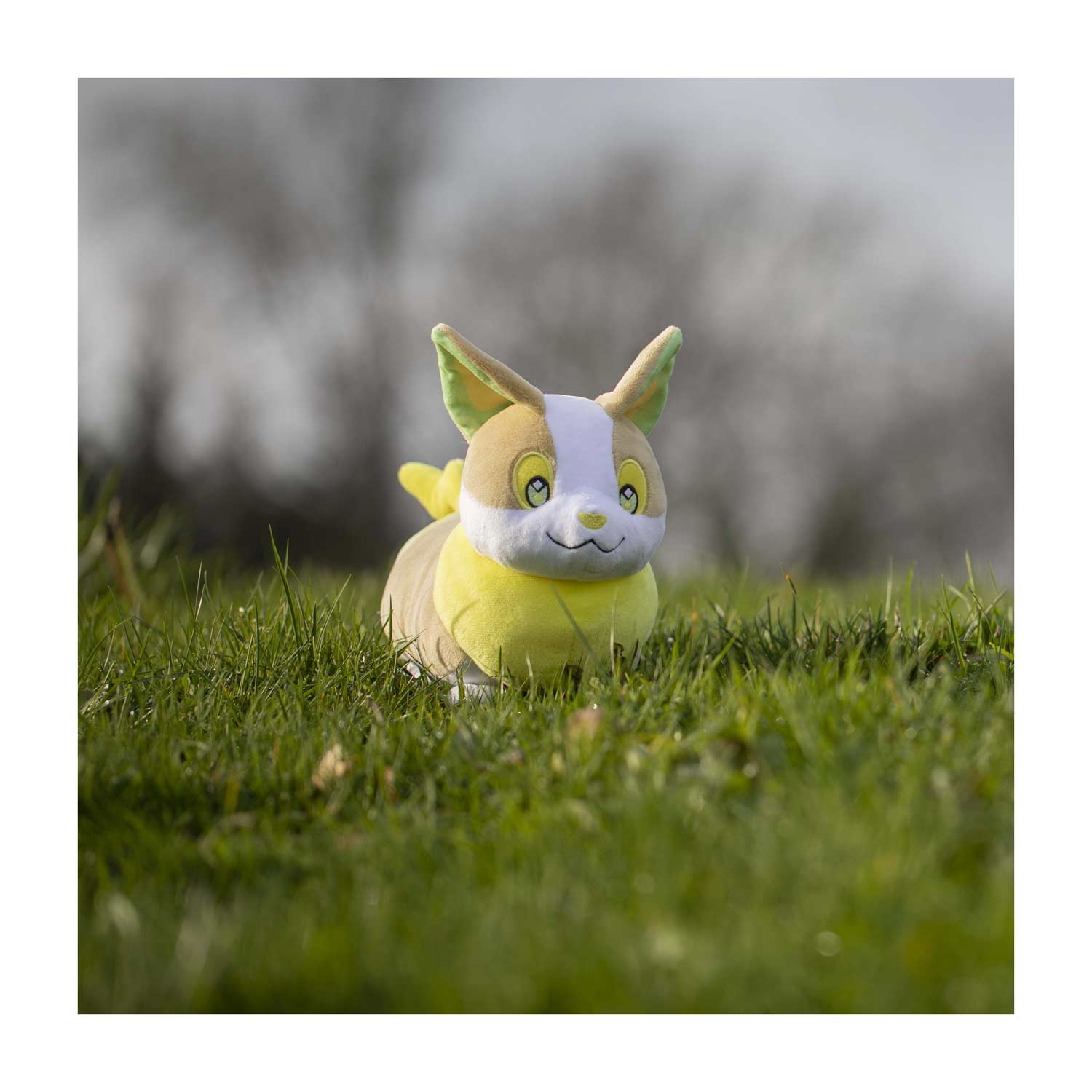 Pokemon Center Original Plush Doll Yamper with Official Paper Tag Wanpachi 