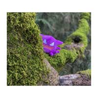 haunter plush