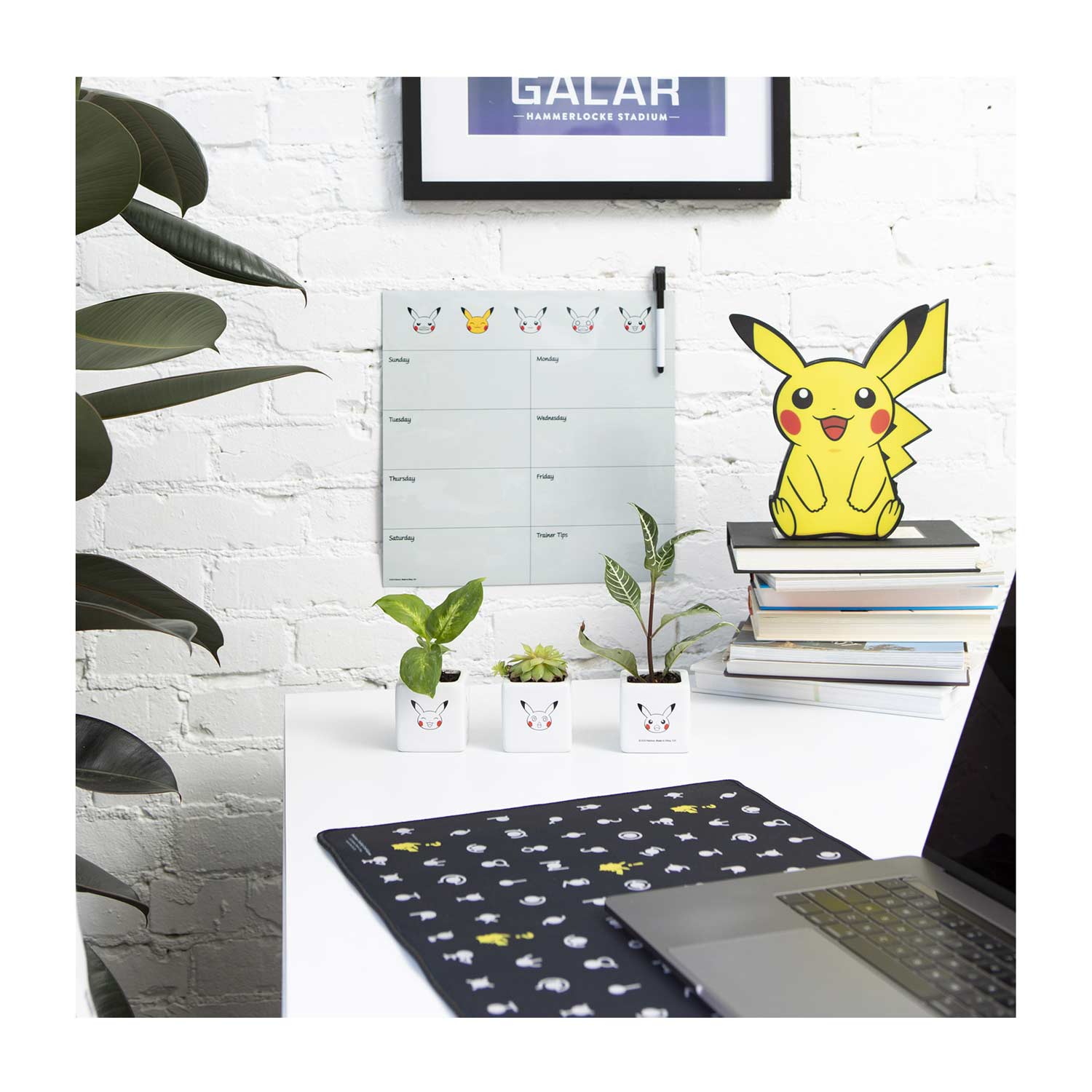 Details about   Pokemon X and Y Kalos Region Map MousepadTCG playmat  Yu-Gi-OhPokemon TCG 