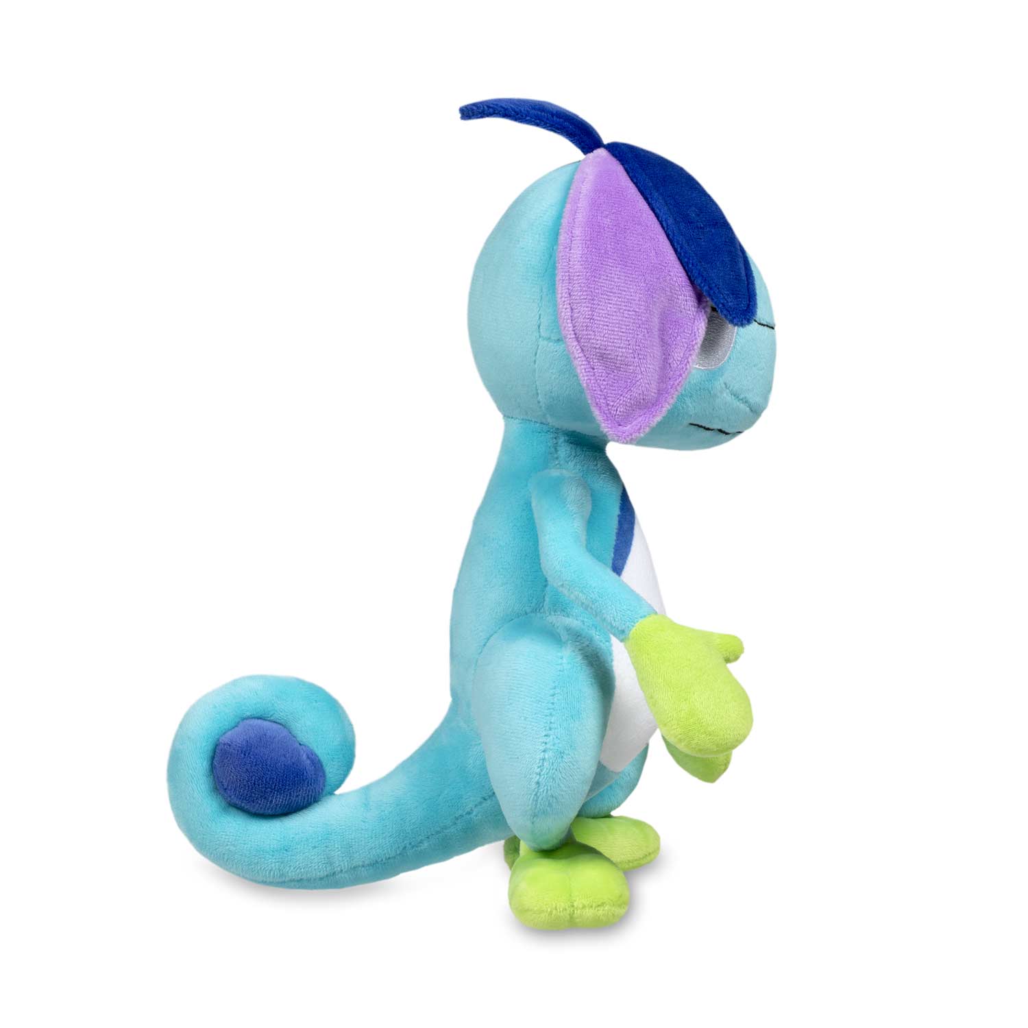 pokemon drizzle plush