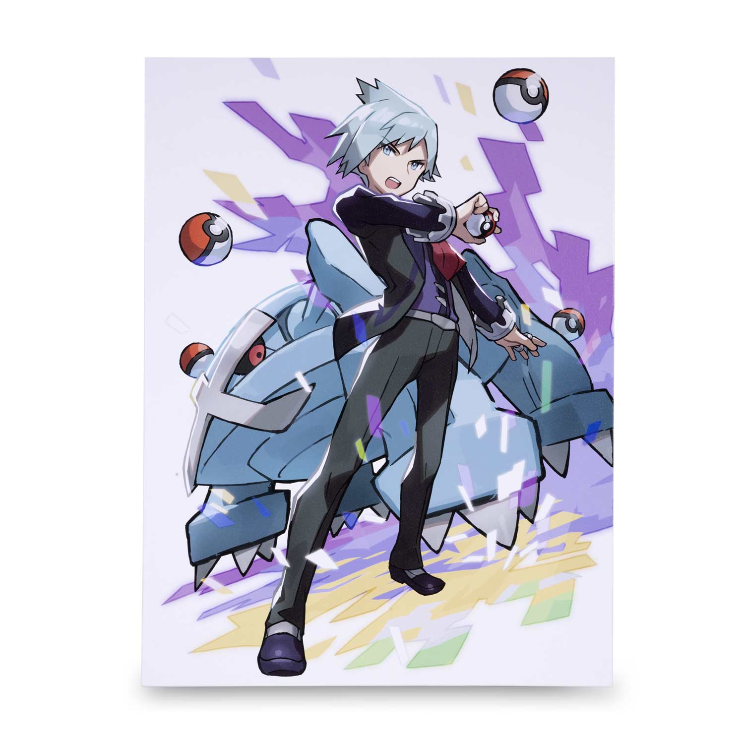 Pokémon Trainers: Steven Stone Canvas Wall Art