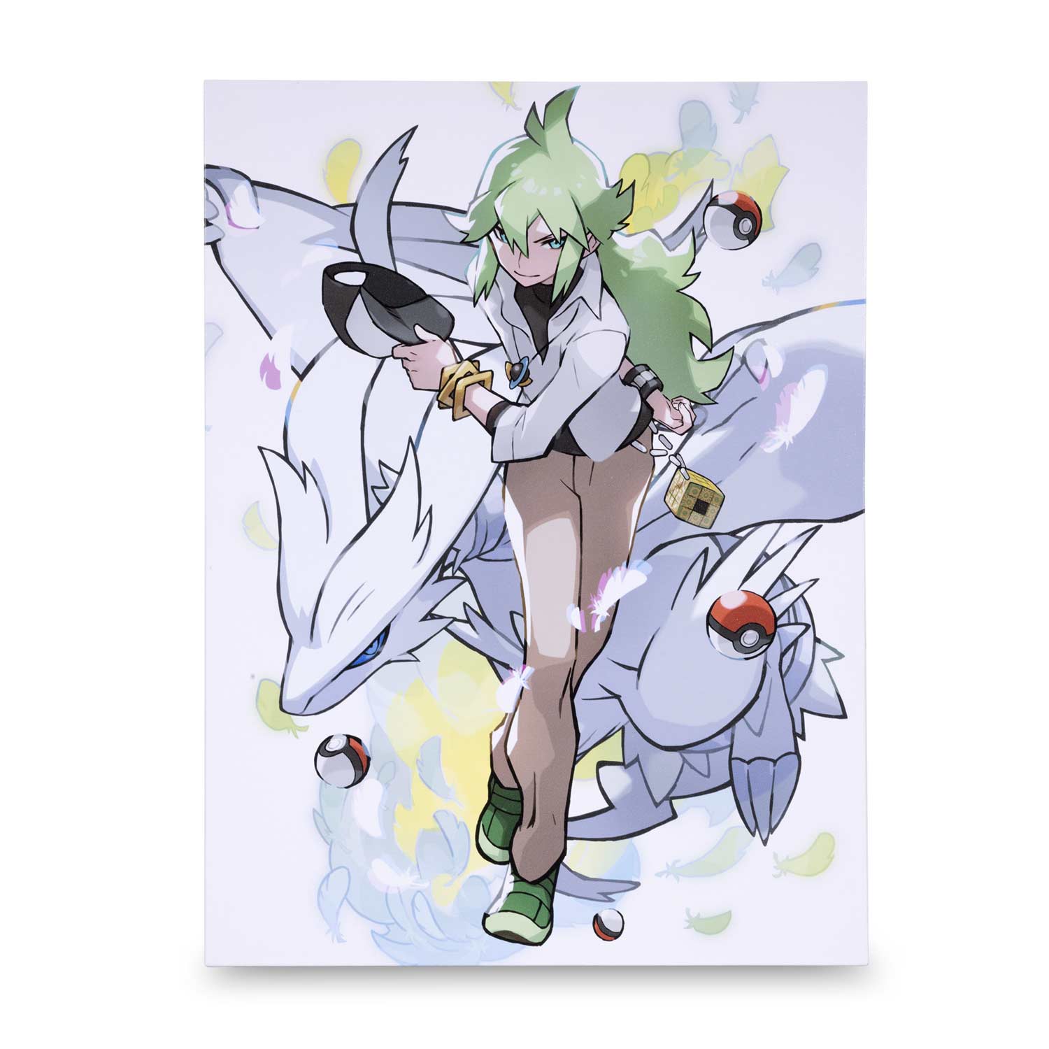 Pokémon Trainers: N Canvas Wall Art