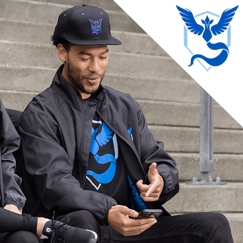 Pokémon GO Collection | Pokémon Center Official Site