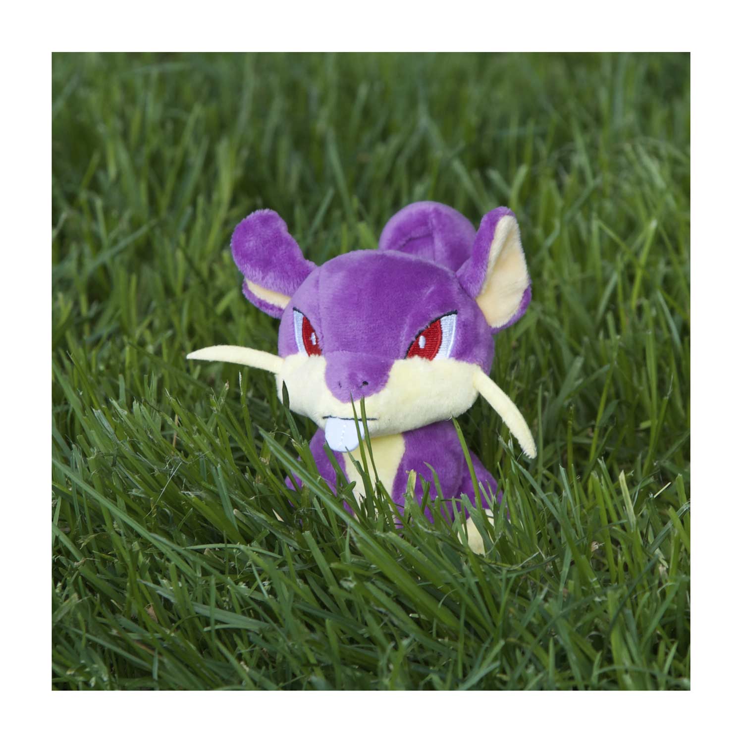 corgi pillow amazon