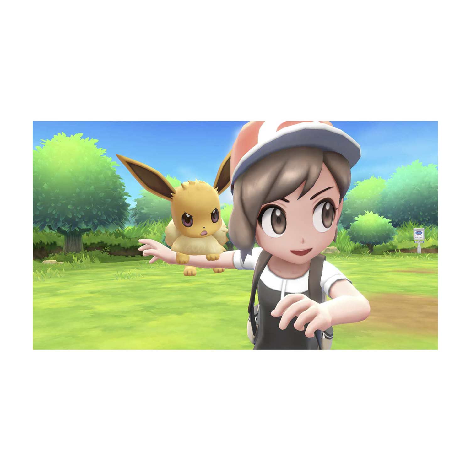 pokémon pikachu & eevee poké ball collection