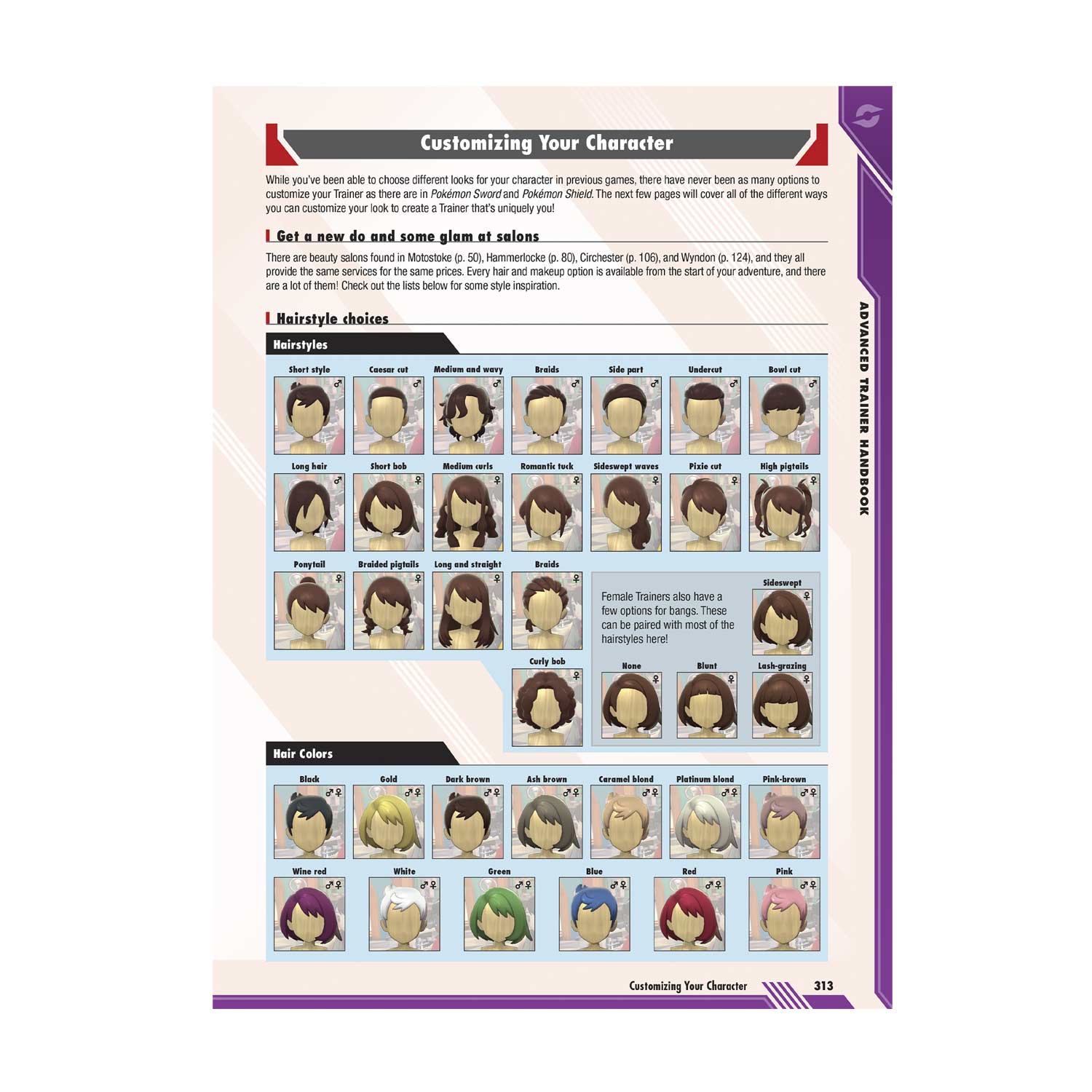 Pokémon Sword Pokémon Shield The Official Galar Region Strategy Guide Collectors Edition